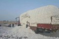 新疆棉的盈亏线在什么位置？