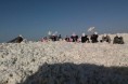 新疆籽棉交售进度加快 棉企遭遇市场困境