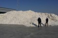 新疆棉花今年减产两成 “卖棉难”现象频现