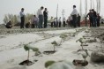 中棉所：2016 年棉花种植意向调查报告